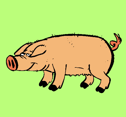Dibujo Cerdo con pezuñas negras pintado por milialma