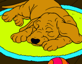 Dibujo Perro durmiendo pintado por LoveLoveLo