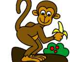 Dibujo Mono pintado por lizmarie