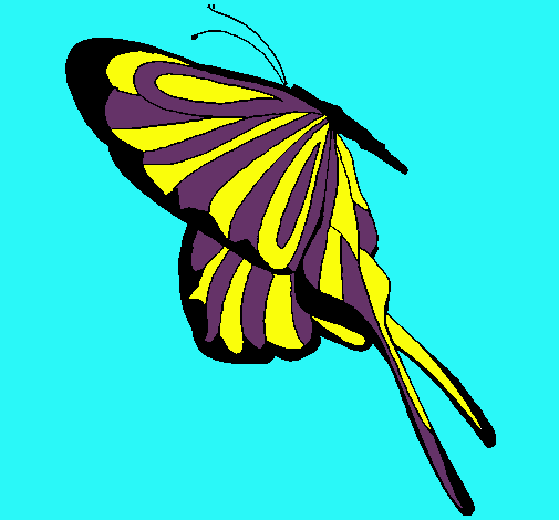 Dibujo Mariposa con grandes alas pintado por usuar
