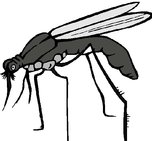 Dibujo Mosquito pintado por Annyttta