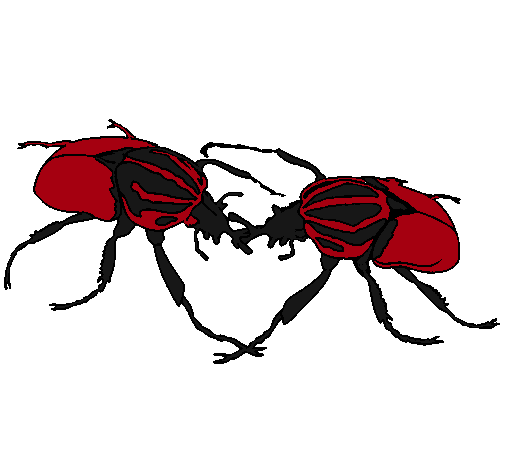 Dibujo Escarabajos pintado por Annyttta