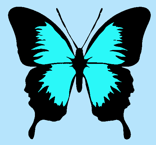 Dibujo Mariposa con alas negras pintado por yuli_13