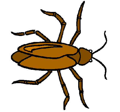 Dibujo Cucaracha pintado por Annyttta