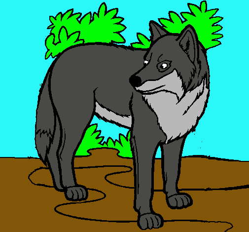 Dibujo Lobo pintado por brayanquino9