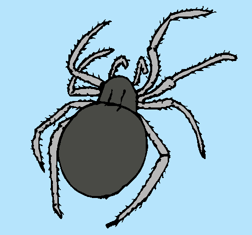 Dibujo Araña venenosa pintado por EmcCmv