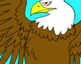 Dibujo Águila Imperial Romana pintado por nicko