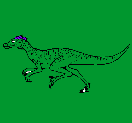 Dibujo Velociraptor pintado por araceli_ga