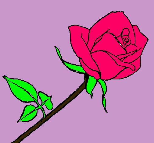 Dibujo Rosa pintado por andreaaaaaaaaa