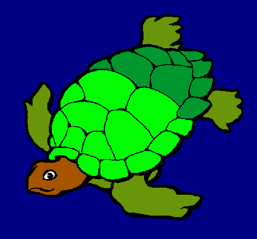 Dibujo Tortuga pintado por AGUSTITI