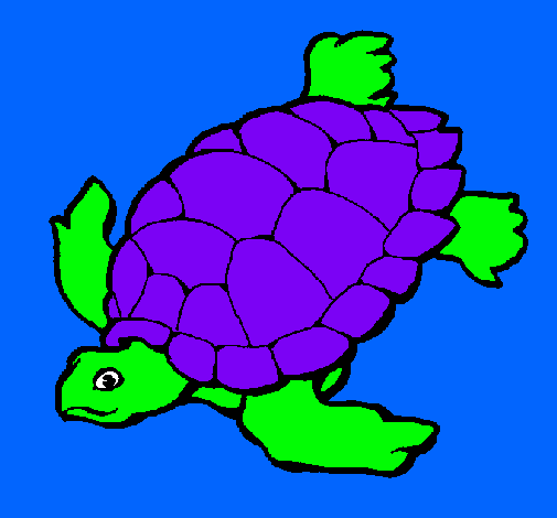 Dibujo Tortuga pintado por kianita