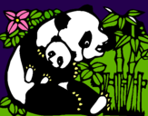 Dibujo Mama panda pintado por BBRREENNDDAA