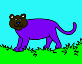 Dibujo Pantera pintado por violetahgrhn