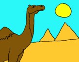 Dibujo Camello pintado por suma