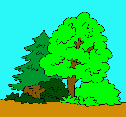 Dibujo Bosque pintado por xdraid