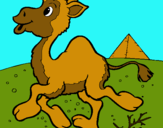 Dibujo Camello pintado por Zowiiin
