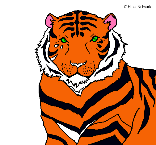 Dibujo Tigre pintado por animalman9