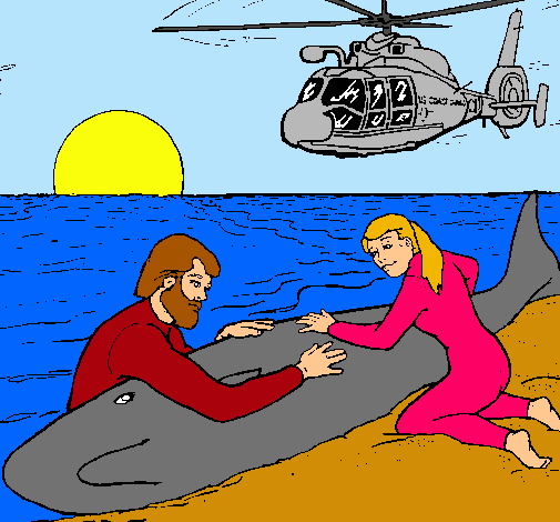 Dibujo Rescate ballena pintado por habbonuria