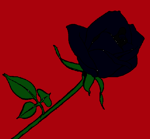 Dibujo Rosa pintado por luperock