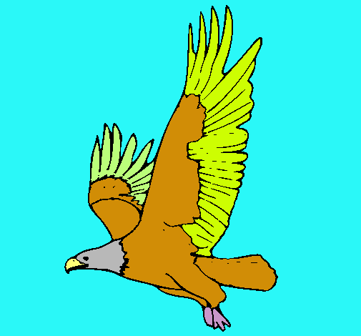 Dibujo Águila volando pintado por hectorguer