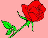 Dibujo Rosa pintado por kukulo