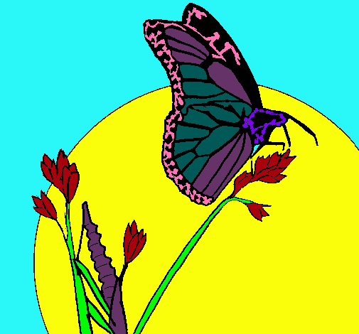Dibujo Mariposa en una rama pintado por vely