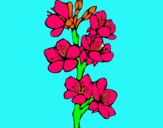 Dibujo Flores de campo pintado por SofiTai