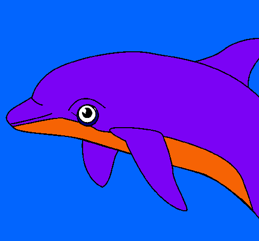 Dibujo Delfín pintado por NADIN