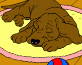 Dibujo Perro durmiendo pintado por vely