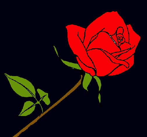 Dibujo Rosa pintado por habbonuria