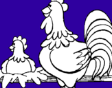 Dibujo Gallo y gallina pintado por xccSssA
