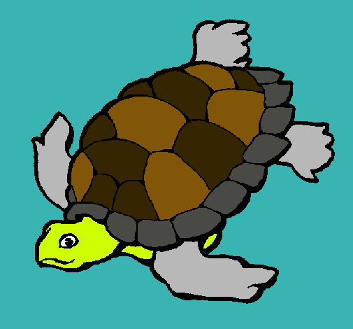 Dibujo Tortuga pintado por SchaWarba