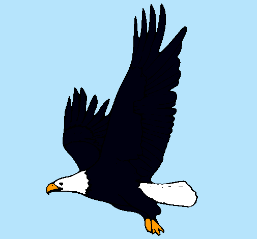 Dibujo Águila volando pintado por jennitha