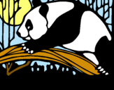 Dibujo Oso panda comiendo pintado por jennitha