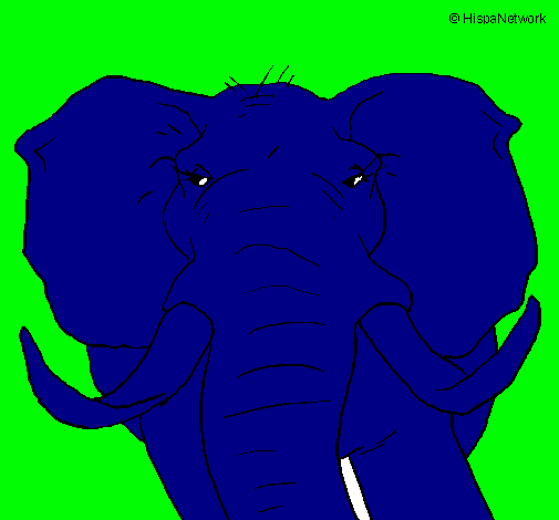 Dibujo Elefante africano pintado por catalt