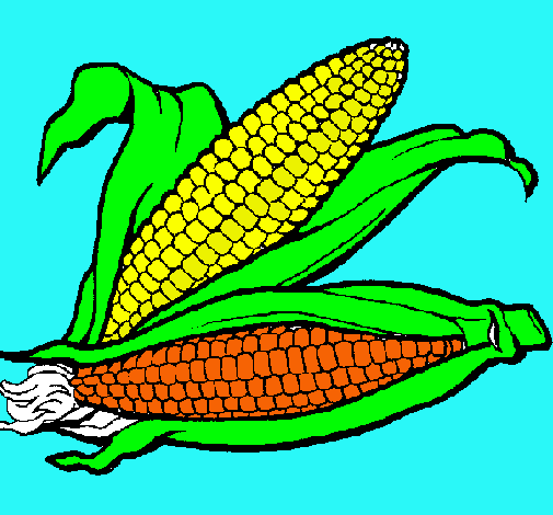 Dibujo Mazorca de maíz pintado por nayua