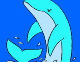 Dibujo Delfín chapoteando pintado por chupi