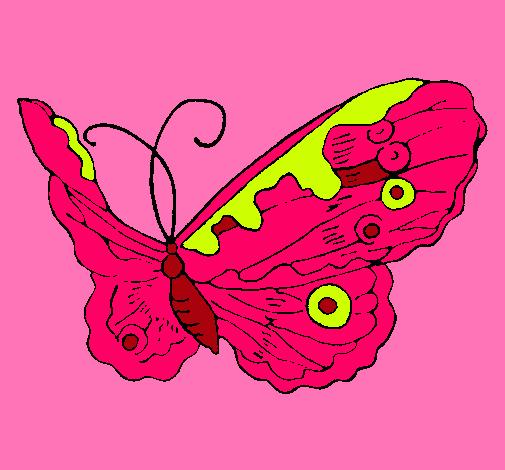 Dibujo Mariposa elegante pintado por e1p2r3