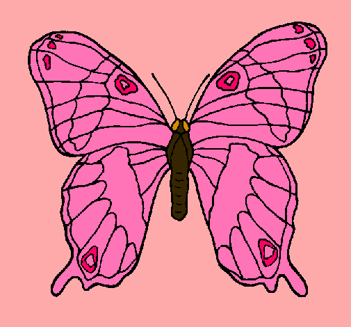 Dibujo Mariposa pintado por einnys