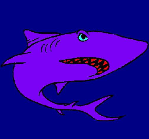 Dibujo Tiburón pintado por catalt