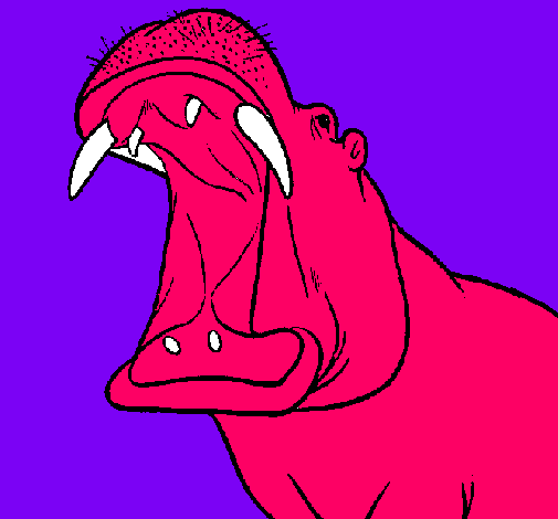 Dibujo Hipopótamo con la boca abierta pintado por catalt