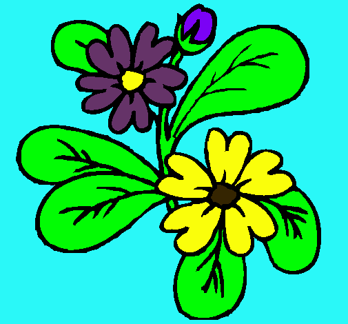 Dibujo Flores pintado por mailey