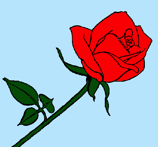 Dibujo Rosa pintado por sofia34ha2