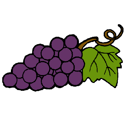 Resultado de imagen para imagenes de uvas en dibujo