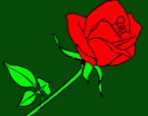 Dibujo Rosa pintado por floreanny