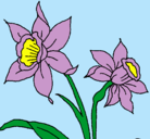 Dibujo Orquídea pintado por florchyDC