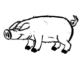 Dibujo Cerdo con pezuñas negras pintado por FAbyy