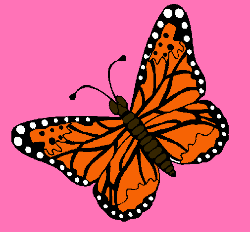 Dibujo Mariposa 4 pintado por zuleymy