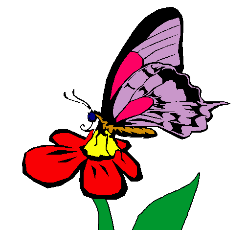 Dibujo Mariposa en una flor pintado por elizaved