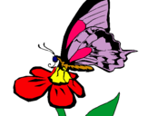 Dibujo Mariposa en una flor pintado por elizaved